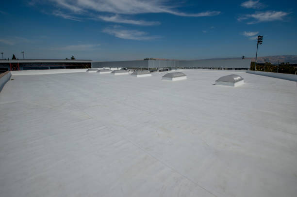 Best Rubber Roofing (EPDM, TPO)  in Millen, GA